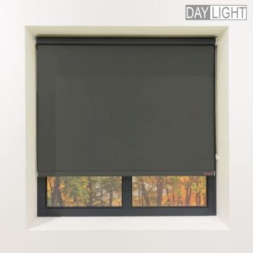 Graphite Shade Roller blind