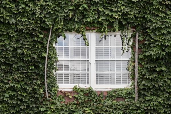 Here’s Why You Need Flame Retardant Blinds for Your Nursing Home