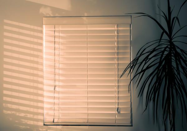 What to Know About the Maintenance of Sun-Damaged Blinds