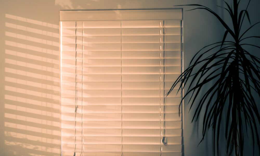 What to Know About the Maintenance of Sun-Damaged Blinds